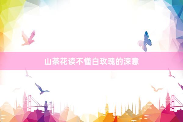 山茶花读不懂白玫瑰的深意