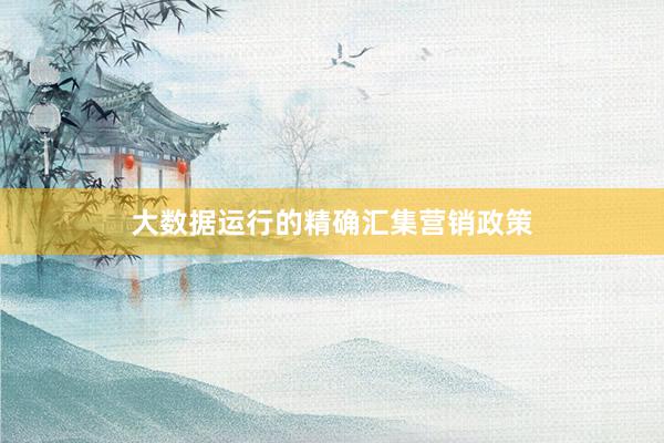 大数据运行的精确汇集营销政策