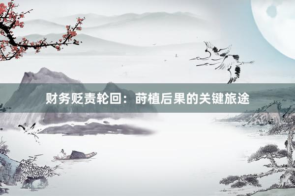 财务贬责轮回：莳植后果的关键旅途